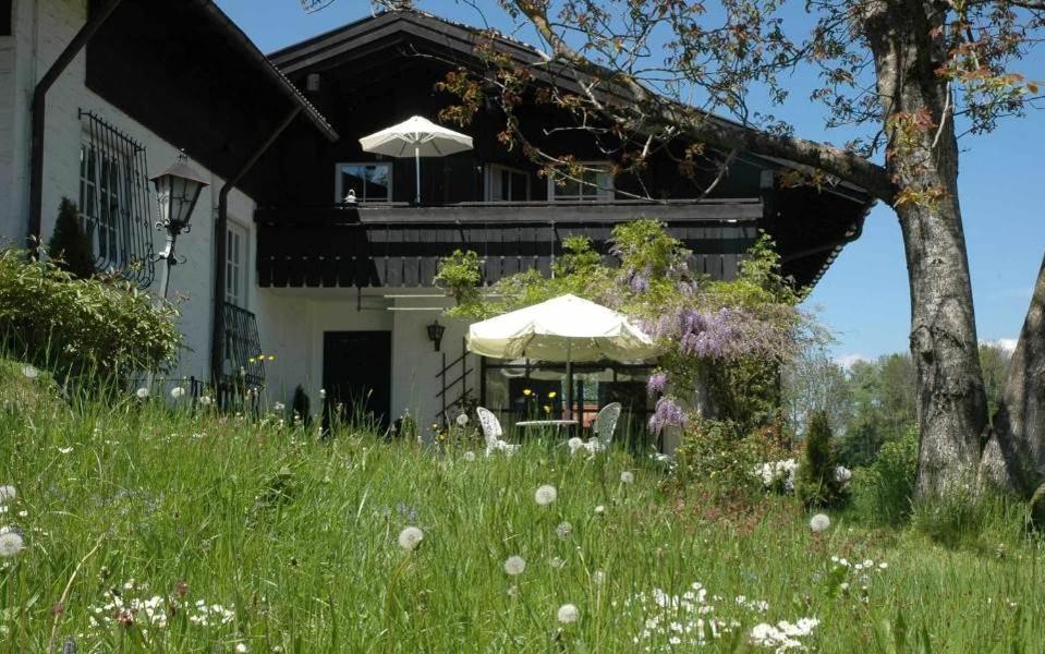 Ferienhaus Nest Blaichach Buitenkant foto
