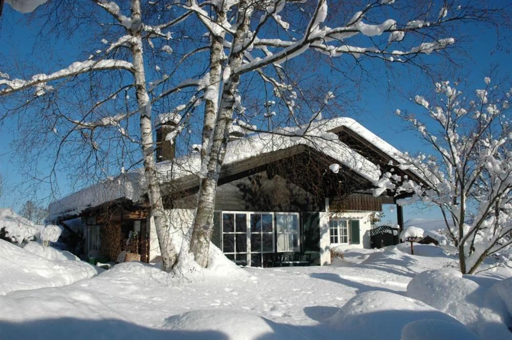 Ferienhaus Nest Blaichach Buitenkant foto
