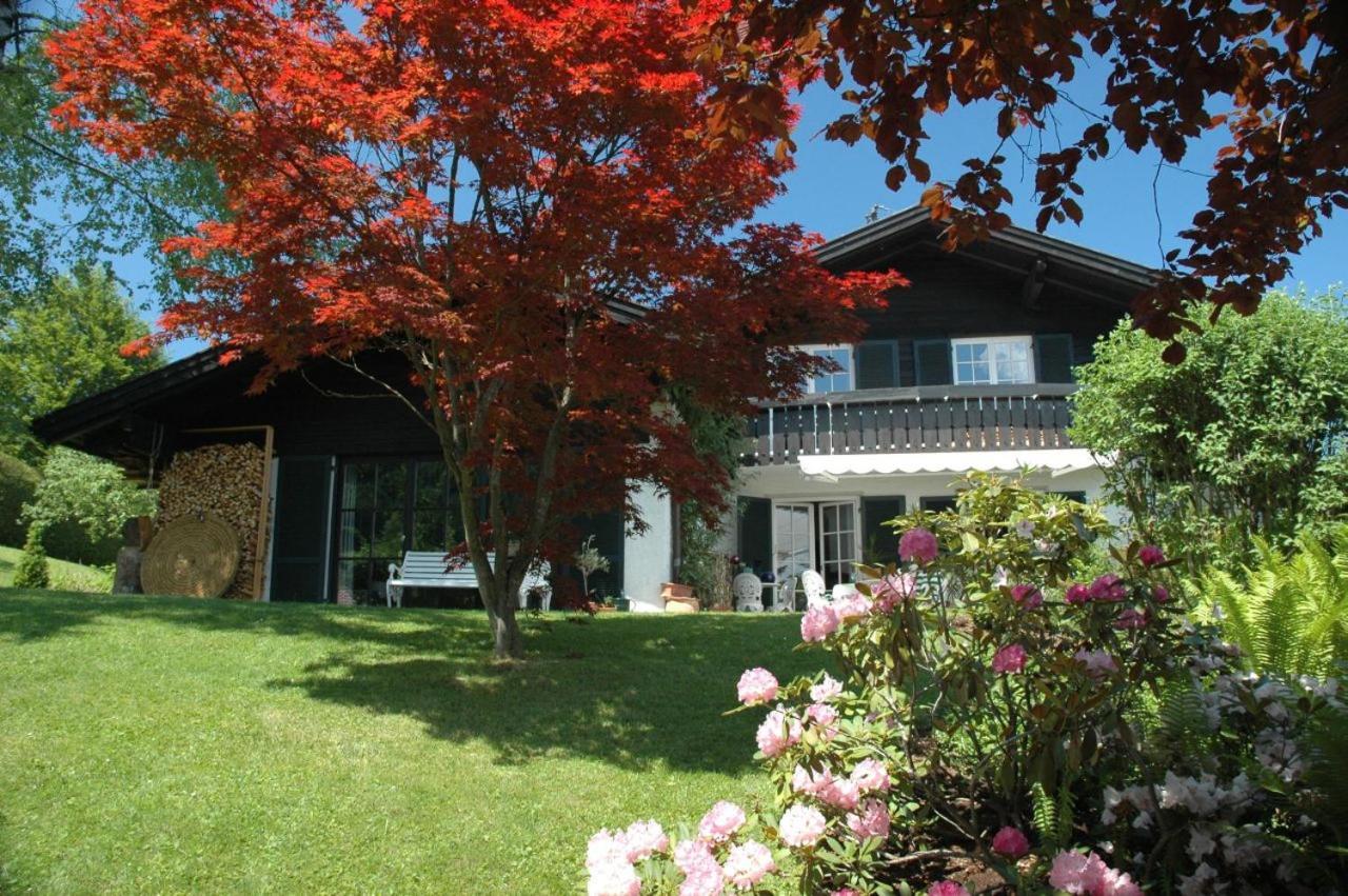 Ferienhaus Nest Blaichach Buitenkant foto