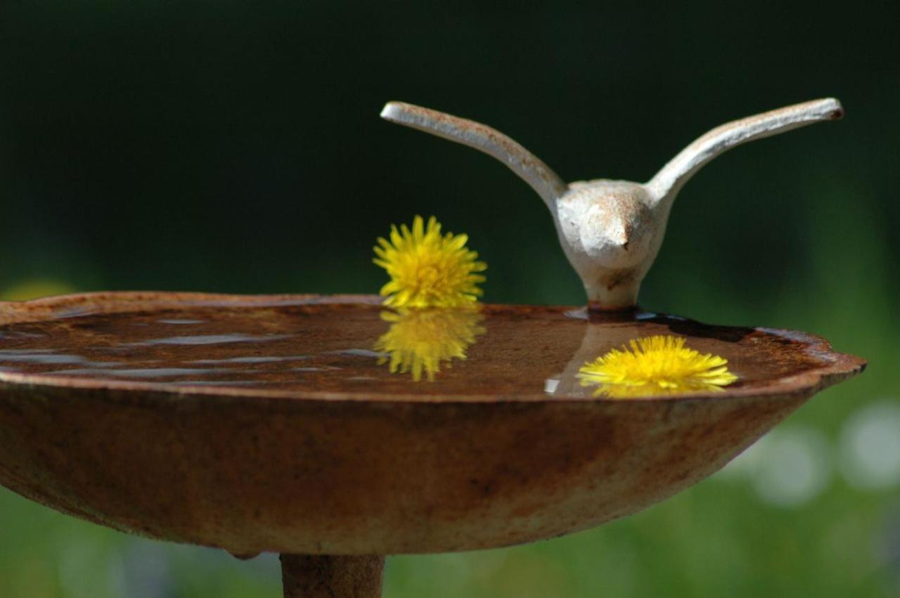 Ferienhaus Nest Blaichach Buitenkant foto